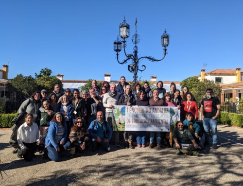 Construyendo red, tejiendo vínculos