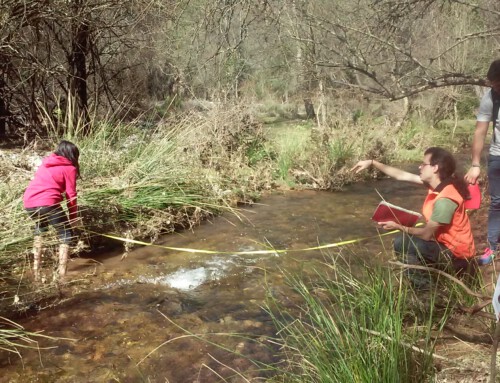 Centros de Educación Ambiental: mucho más que un espacio de ocio