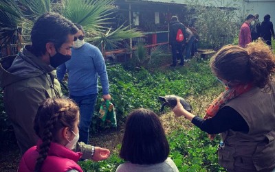 experiencias vivenciales en familia