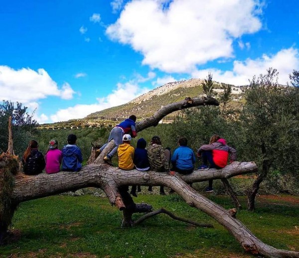 niños mirando la naturaleza