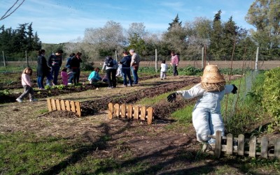 programas para familias