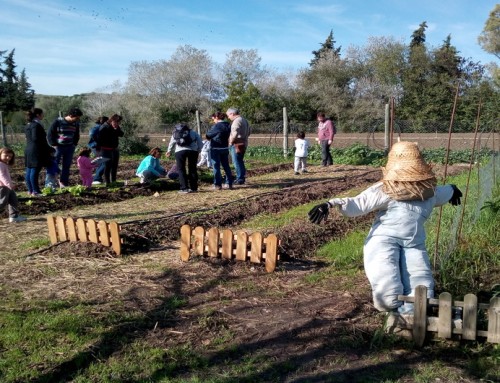 Experiencias para familias en los Centros de Educación Ambiental