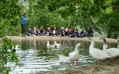 estanque patos granja escuela parapanda