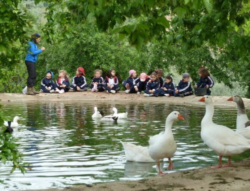 La educación ambiental, más necesaria que nunca